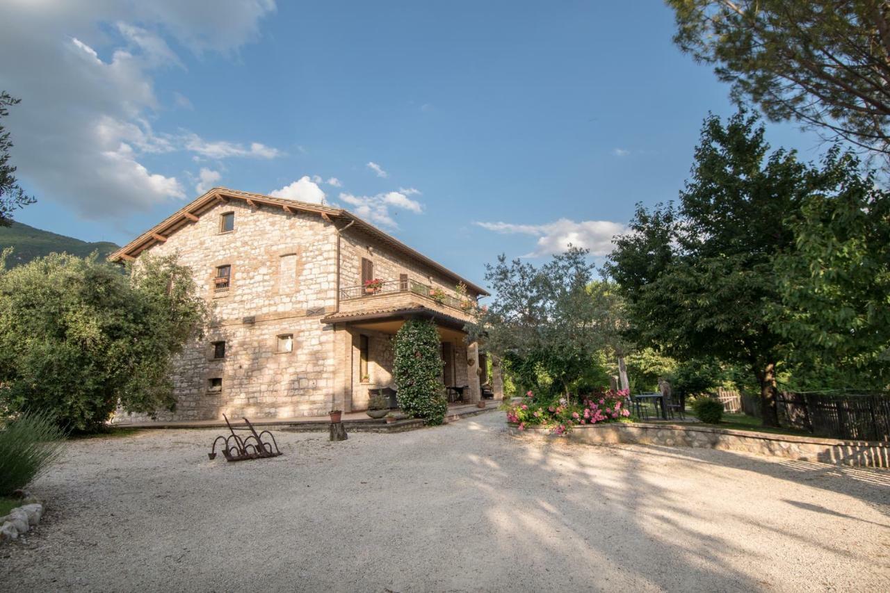 Agriturismo Il Giardino Dei Ciliegi Passaggio di Assisi Eksteriør billede