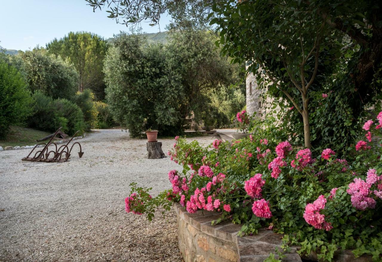 Agriturismo Il Giardino Dei Ciliegi Passaggio di Assisi Eksteriør billede